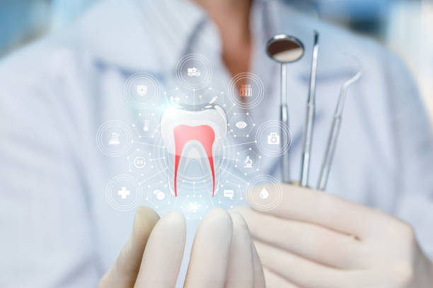 Best Traditional Braces  in Beverly Hills, FL